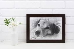 Personalised Pet Portrait Pencil Sketch Effect, Custom Framed Art Print - thumbnail 1