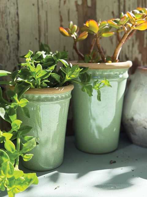 Small Green Glazed Long Tom Plant Pot X1 - Tall Rustic Planter Mediterranean Style Succulent