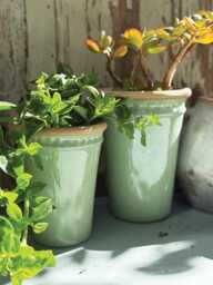 Small Green Glazed Long Tom Plant Pot X1 - Tall Rustic Planter Mediterranean Style Succulent