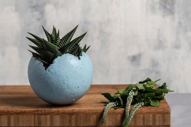 Medium Grained Blue Ceramic Planter For Succulent - image 1