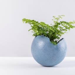 Medium Grained Blue Ceramic Planter For Succulent - thumbnail 3