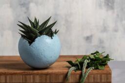 Medium Grained Blue Ceramic Planter For Succulent - thumbnail 1