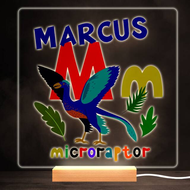M Dinosaur Alphabet Colourful Square Personalised Gift Led Lamp Night Light - Bedroom - image 1
