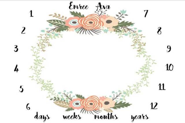 Baby Girl Milestone Blanket, Monthly Age Memory Anniversary Baby Shower Gift, New Mom Gift