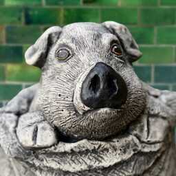 Funny Pig in Sack Statue Cement Gift Whimsical Farm Animal Decor Cute Bag Ornament Outdoor Garden Humor Pig Lover Figurine - thumbnail 3