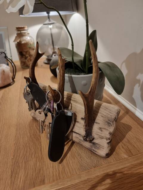 Solid Oak & Real Antler Key Holder/Dog Lead Hanger - image 1