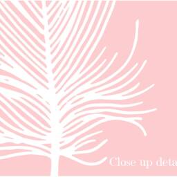 Feather Print Set, Feathers Wall Art, Blush Pink Prints, Set Of 3 Print, White Decor, Bedroom - thumbnail 2