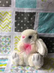 Baby Blanket/Quilt - thumbnail 1
