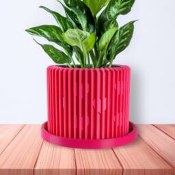 Modern Heart Plant Pot With Drainage & Saucer - Unique Valentine's Day Gift For Lovers, 3D Printed Planter Home Hosting Decor - thumbnail 1