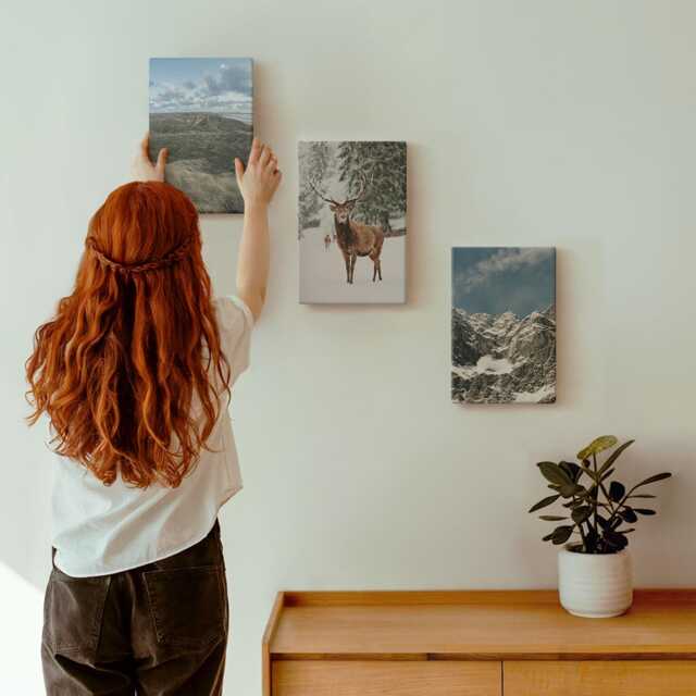 3 Piece Canvas Set - Mountains With Snow, Deer in The Forest, Landscapes, Gray Wall Art Canvas, Landscapes Hanging - image 1