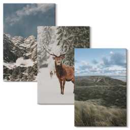 3 Piece Canvas Set - Mountains With Snow, Deer in The Forest, Landscapes, Gray Wall Art Canvas, Landscapes Hanging - thumbnail 2