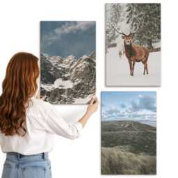 3 Piece Canvas Set - Mountains With Snow, Deer in The Forest, Landscapes, Gray Wall Art Canvas, Landscapes Hanging - thumbnail 3