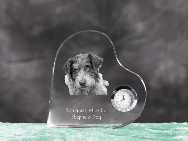 Romanian Mioritic Shepherd Dog - Crystal Clock in The Shape Of A Heart With Image Pure-Bred Dog - image 1