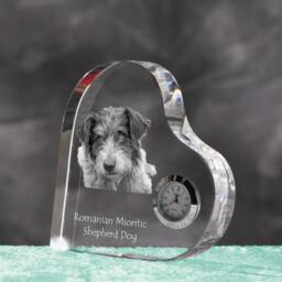 Romanian Mioritic Shepherd Dog - Crystal Clock in The Shape Of A Heart With Image Pure-Bred Dog - thumbnail 2