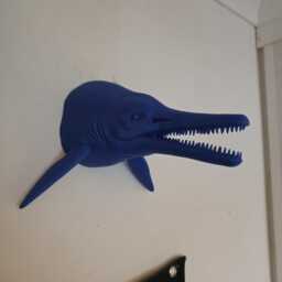 Ichthyosaur Wall Art - Dinosaur Mount- 3D Printed Multiple Sizes & Colours Available - thumbnail 3