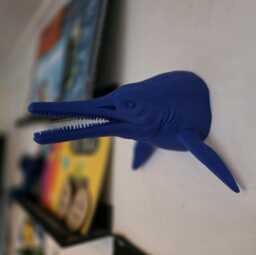 Ichthyosaur Wall Art - Dinosaur Mount- 3D Printed Multiple Sizes & Colours Available - thumbnail 1