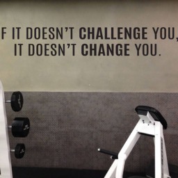 Gym Ideas, Fitness Decor Design, Wall Decal, If It Doesn't Challenge You, It Change You - thumbnail 3