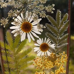 Dried Flower Bouquet in Handmade Stained Glass Frame, Suncatcher With Pressed Flowers - thumbnail 3
