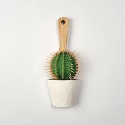 Handmade Wooden Cactus Hairbrush Sculpture, Botanical Wall Relief - thumbnail 1