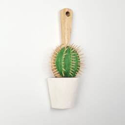 Handmade Wooden Cactus Hairbrush Sculpture, Botanical Wall Relief - thumbnail 2