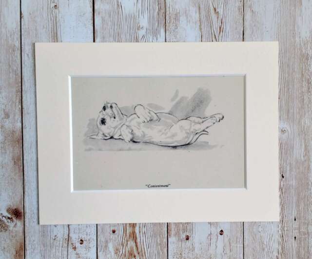 Vintage Terrier Puppy Print, Diana Thorne Dog Sketch, Mounted Art - image 1