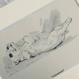 Vintage Terrier Puppy Print, Diana Thorne Dog Sketch, Mounted Art - thumbnail 2