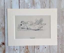 Vintage Terrier Puppy Print, Diana Thorne Dog Sketch, Mounted Art - thumbnail 1