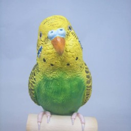 Custom Budgerigar Figurine Personalized Pet Portrait - thumbnail 2