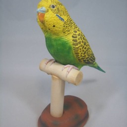 Custom Budgerigar Figurine Personalized Pet Portrait - thumbnail 3