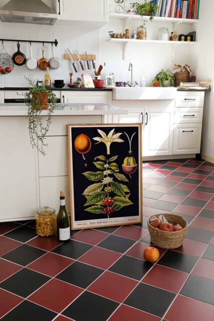 Vintage Print Coffee Plant Retro Poster Coffea Arabica Old Chart Botanical Illustration Wall Decoration Kitchen - image 1