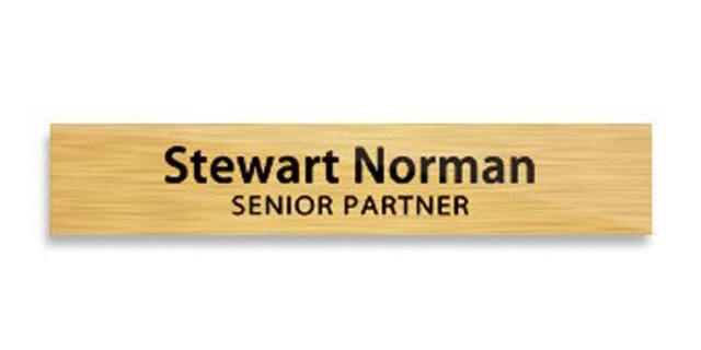 2 X 8 Inches Gold Personalized Name Plate-3 Custom Plate For Office, Office Plates Custom, Plate, Holder