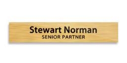 2 X 8 Inches Gold Personalized Name Plate-3 Custom Plate For Office, Office Plates Custom, Plate, Holder