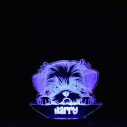 Personalised Shih Tzu Led Night Light Engraved Dog Lamp - thumbnail 4