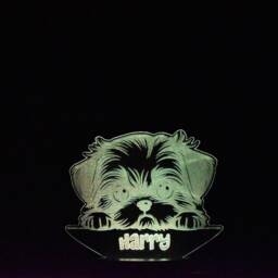 Personalised Shih Tzu Led Night Light Engraved Dog Lamp - thumbnail 2