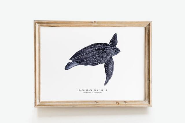 Leatherback Sea Turtle Art Print - Dermochelys Coriacea Beach, Ocean, Reef Living Room, Bathroom, Nursery D??cor, Home Wall Gift - image 1