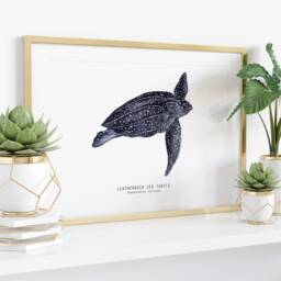 Leatherback Sea Turtle Art Print - Dermochelys Coriacea Beach, Ocean, Reef Living Room, Bathroom, Nursery D??cor, Home Wall Gift - thumbnail 3