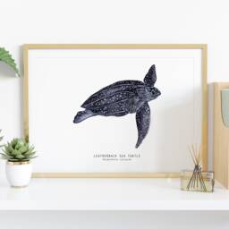 Leatherback Sea Turtle Art Print - Dermochelys Coriacea Beach, Ocean, Reef Living Room, Bathroom, Nursery D??cor, Home Wall Gift - thumbnail 2