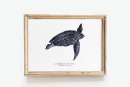Leatherback Sea Turtle Art Print - Dermochelys Coriacea Beach, Ocean, Reef Living Room, Bathroom, Nursery D??cor, Home Wall Gift - thumbnail 1