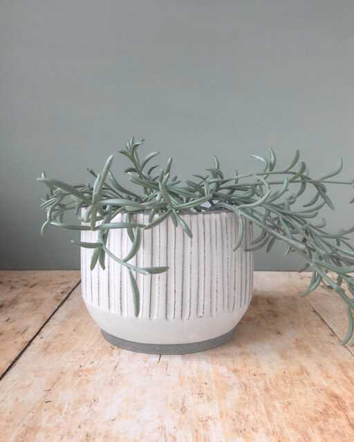 Handmade Ceramic Planter, Handmade Plant Pot - image 1