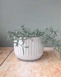 Handmade Ceramic Planter, Handmade Plant Pot