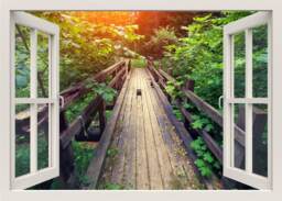Wooden Bridge Jungle Wall Decal, 3D Window View Nature Sticker, Mural, Frame Living Room Home Decor