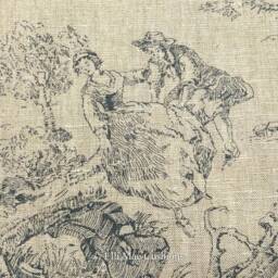 Cabbages & Roses Toile De Poulet Blue Designer Fabric Cushion Pillow Cover - thumbnail 3