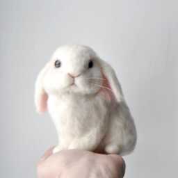 Custom Made Rabbit, Needle Felted Handmade Lifelike Felt Rabbit Harlequin Rabbit, Mini Rex, Dutch Rabbit Or Any Other Breed - thumbnail 3