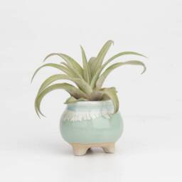 Mini Ceramic Planter Set Handmade Succulent Pot, Lithops Pot - thumbnail 2