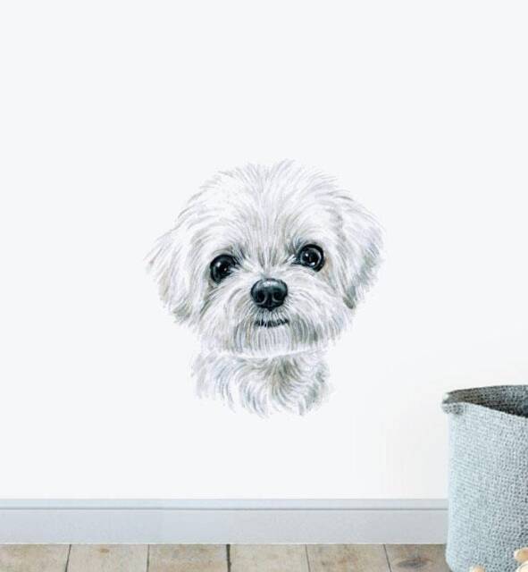 Maltese Dog Wall Sticker Decal - Dogs & Pets Stickers, Art, Decals, Kids Animals Decals