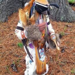 Gambel's Quail Manitou - Spirit Or Totem - thumbnail 4