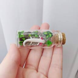 Axolotl Aquarium in Glass-Bottle/Unique Miniature Figure/ Handmade Artwork - thumbnail 4