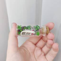 Axolotl Aquarium in Glass-Bottle/Unique Miniature Figure/ Handmade Artwork - thumbnail 2