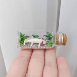Axolotl Aquarium in Glass-Bottle/Unique Miniature Figure/ Handmade Artwork - thumbnail 1