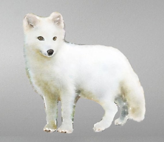 Arctic Fox Wall Decal, Polar Sticker, Watercolor Woodland White Fox, Sticker - image 1